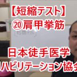肩甲挙筋